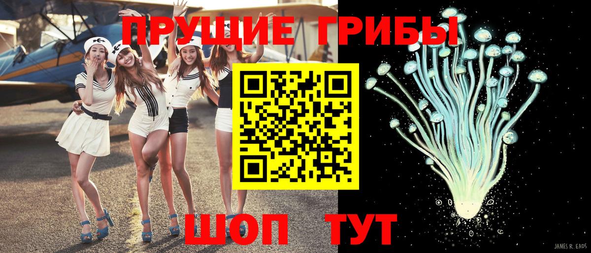 Ростов-на-Дону  Псилоцибиновые грибы прущие грибы  купить закладку  Вход с VPN 